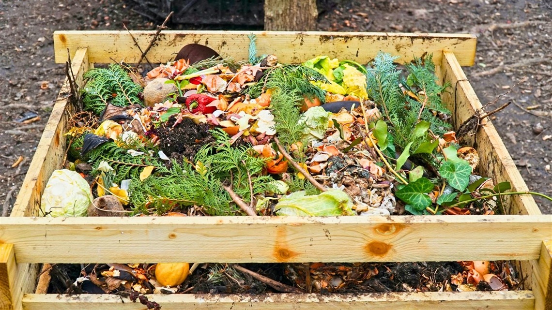 compost-101.jpg