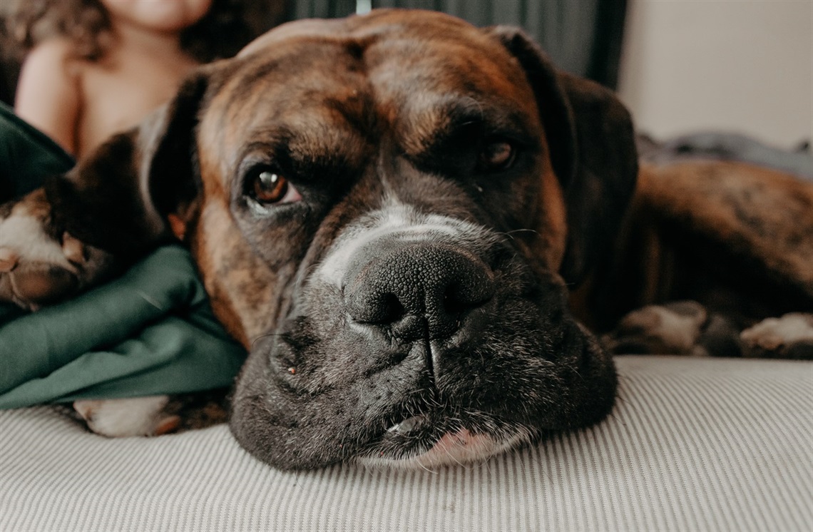 vanessa-serpas-469705-unsplash.jpg
